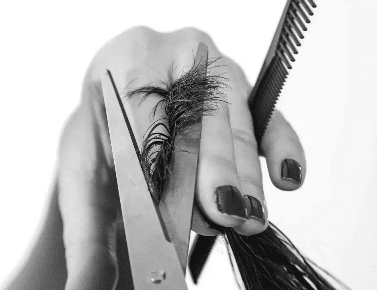 Hair being cut with scissors and comb in hand.